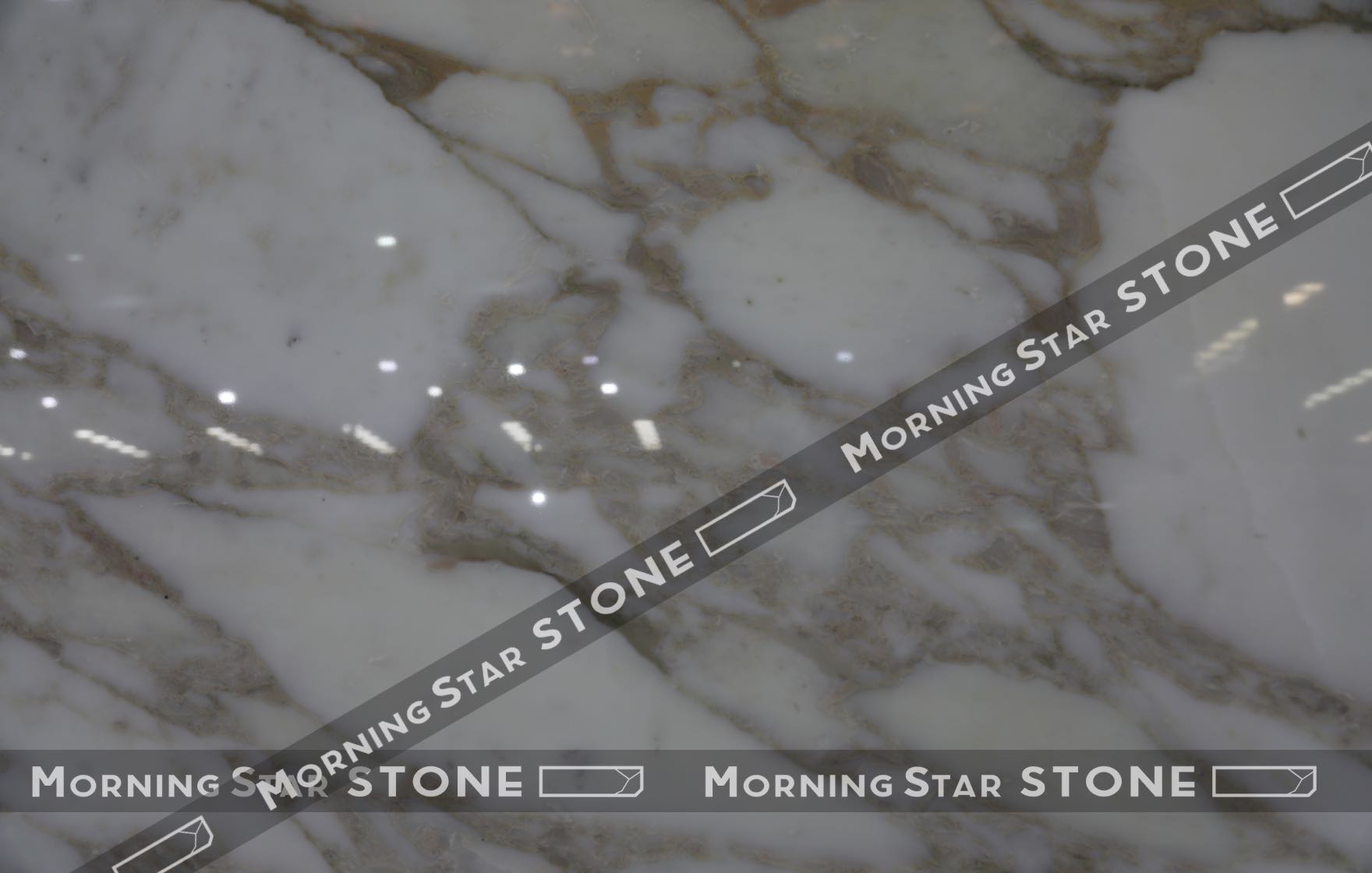 calacatta vagli gold